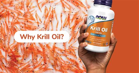 why take krill oil supplements.